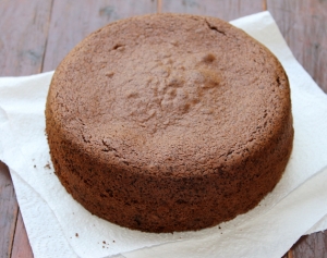 Manufacturers Exporters and Wholesale Suppliers of Chocolate Sponge Cake Mix mumbai Maharashtra