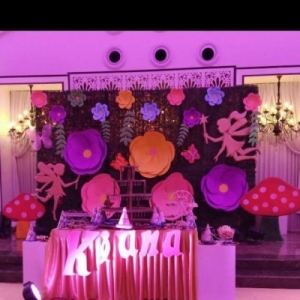 Service Provider of CINDERELLA THEME PARTY  Delhi 