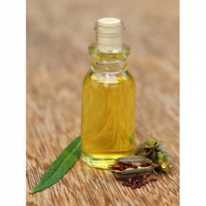 Manufacturers Exporters and Wholesale Suppliers of Citronella oil pure Surat Gujarat