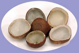 Coconut Copra Manufacturer Supplier Wholesale Exporter Importer Buyer Trader Retailer in Ahmedabad Gujarat India