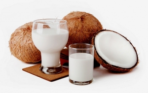 Manufacturers Exporters and Wholesale Suppliers of Cocunut Milk KOCHI Kerala