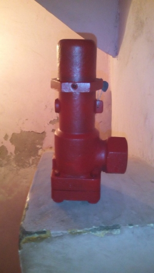 Safety Valve for Ammonia Compressor Manufacturer Supplier Wholesale Exporter Importer Buyer Trader Retailer in Delhi Delhi India