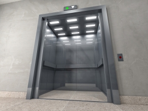 Manufacturers Exporters and Wholesale Suppliers of Commercial Elevators New Delhi Delhi