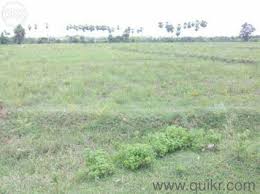 Service Provider of Commercial Lands in Acres Nagpur Maharashtra 