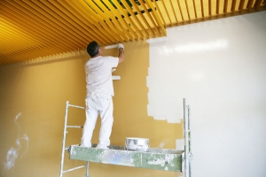 Commercial Painting Contractors Services in New Delhi Delhi India