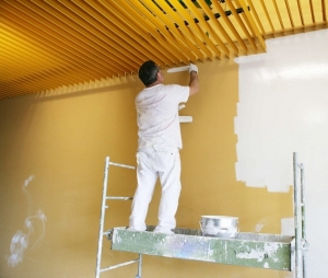 Commercial Painting Services Services in Telangana  India