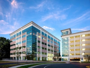 Service Provider of Commercial Rental New Delhi Delhi Commercial Rental