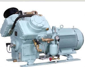 Compressor Reciprocating Air Cooled Manufacturer Supplier Wholesale Exporter Importer Buyer Trader Retailer in Kolkata West Bengal India