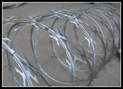 Galvanized Razor Wire Manufacturer Supplier Wholesale Exporter Importer Buyer Trader Retailer in HengShui  China