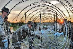 Concertina Wire