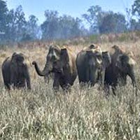 Corbett With Hills Tour