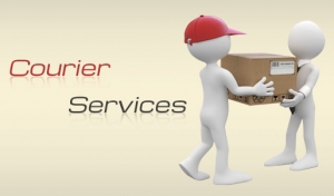 Service Provider of Courier Services New Delhi Delhi