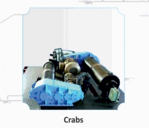 Crabs Services in Telangana Andhra Pradesh India