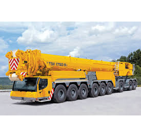 Service Provider of Cranes Cpacity available from 10 Ton to 100 Ton Bhiwadi  