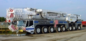 Cranes Hire