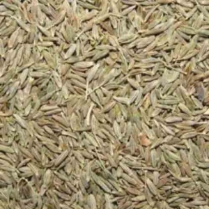 Manufacturers Exporters and Wholesale Suppliers of Cumin Seed Nagpur Maharashtra