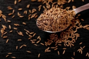 Cumin Seeds Manufacturer Supplier Wholesale Exporter Importer Buyer Trader Retailer in Gondia Maharashtra India