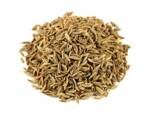 Manufacturers Exporters and Wholesale Suppliers of Cumin Seeds Gandhinagar Gujarat