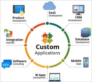Custom Software Development Services in Delhi Delhi India