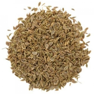 DILL SEEDS Manufacturer Supplier Wholesale Exporter Importer Buyer Trader Retailer in Vadodara Gujarat India