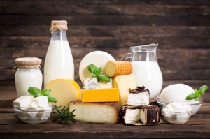 Dairy Products Manufacturer Supplier Wholesale Exporter Importer Buyer Trader Retailer in Pune Maharashtra India