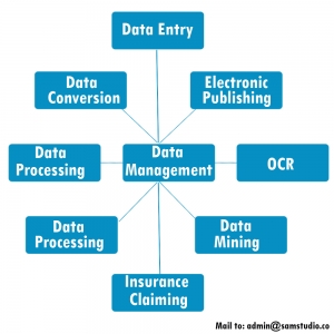 Data Management Services Services in Bangalore Karnataka India