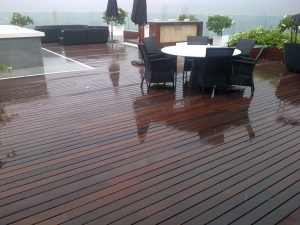 Deck Wood Floor