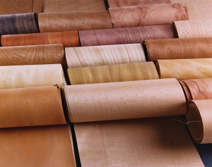 Manufacturers Exporters and Wholesale Suppliers of Decorative Veneers New Delhi Delhi