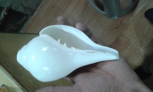 Manufacturers Exporters and Wholesale Suppliers of POOJA SOUND SHANKHA SHANKH CONCH SHELL Agra Uttar Pradesh