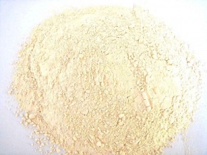Dehydrated Garlic Powder Manufacturer Supplier Wholesale Exporter Importer Buyer Trader Retailer in Gandhinagar Gujarat India