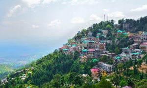 Delhi To Dharamshala