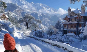 Delhi To Shimla Tempo Traveller
