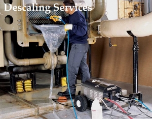 Service Provider of Descaling Services Telangana 