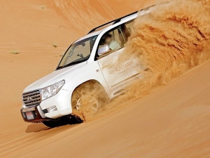 Service Provider of Desert Safari Bikaner Rajasthan 