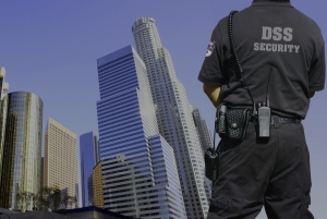 Detective Security Services