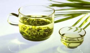 Manufacturers Exporters and Wholesale Suppliers of Diet Tea Lucknow Uttar Pradesh