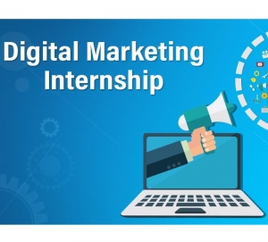 Service Provider of Digital Marketing Internship Delhi Delhi 