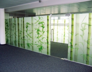 Digital Print Glass