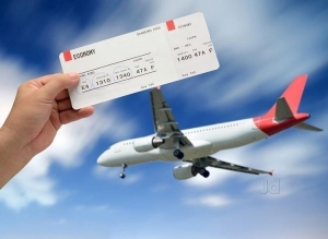 Domestic Air Ticketing Agents