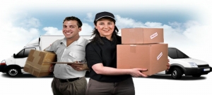 Service Provider of Domestic Courier Services New Delhi Delhi 