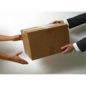 Service Provider of Domestic Courier Services Faridabad Haryana 