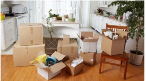 Domestic Relocation Services Services in Gurgaon Haryana India