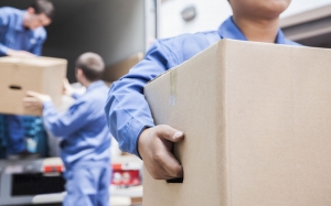 Service Provider of Door to Door Relocation Services Bhubaneshwar Orissa 