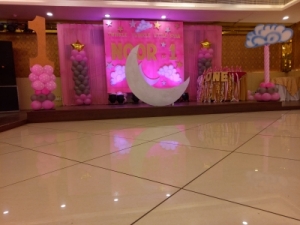 Service Provider of DORA THE EXPLORER THEME  Delhi 