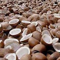 Dried Coconut Flakes Manufacturer Supplier Wholesale Exporter Importer Buyer Trader Retailer in Karaikudi Tamil Nadu India