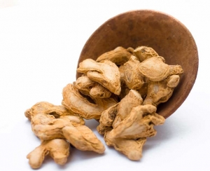 Manufacturers Exporters and Wholesale Suppliers of Dried Ginger Tiruvallur Tamil Nadu