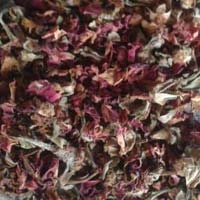 Dried Rose Manufacturer Supplier Wholesale Exporter Importer Buyer Trader Retailer in Karaikudi Tamil Nadu India