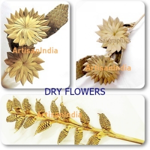 Manufacturers Exporters and Wholesale Suppliers of Dry Flowers Nagpur Maharashtra