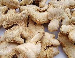 Manufacturers Exporters and Wholesale Suppliers of Dry Ginger Gandhinagar Gujarat