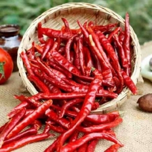 Dry Red chilli Manufacturer Supplier Wholesale Exporter Importer Buyer Trader Retailer in Gondia Maharashtra India